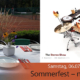 GMT 20240706 Sommerfest