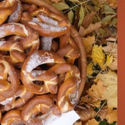 GMT 20251101 Saisonabschluss Rückblick